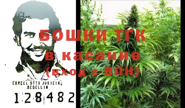 гидра Алексин
