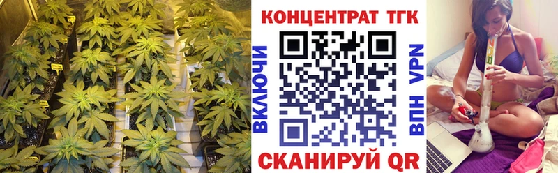 Купить  Жиздра  ТГК Wax 