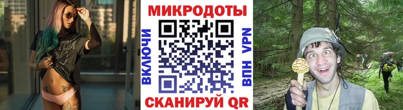 Галлюциногенные грибы Cubensis  Купить где  Жиздра 